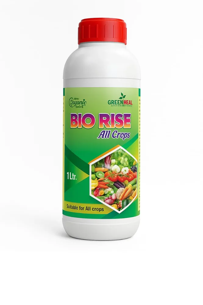 Bio Rise 1 L pack