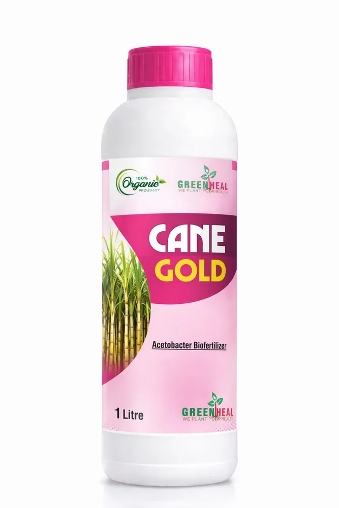 Cane Gold 1 L pack