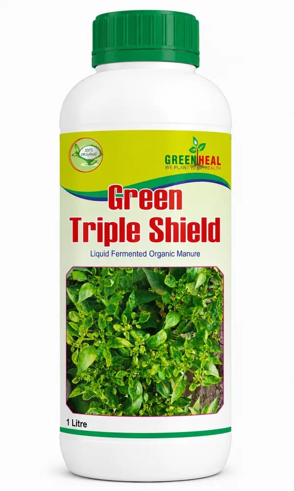Green Triple Shield 1 L pack