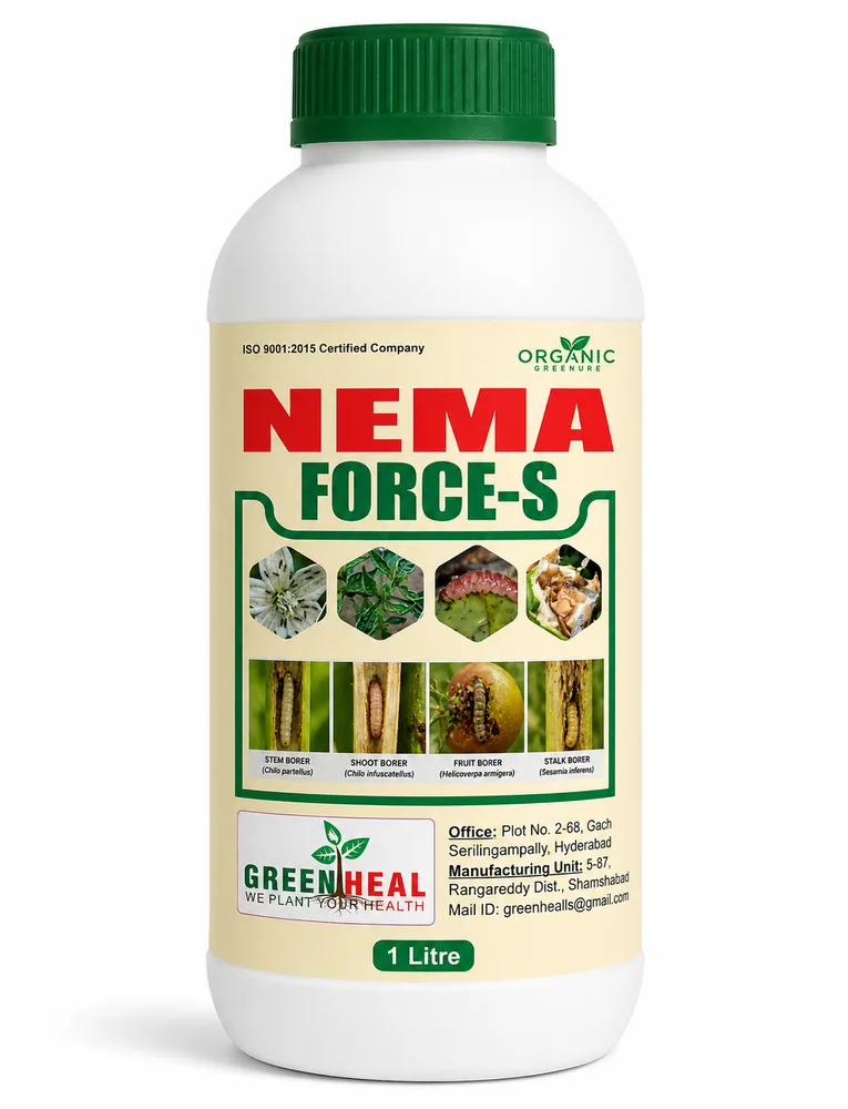 Neema Force H 1 L pack